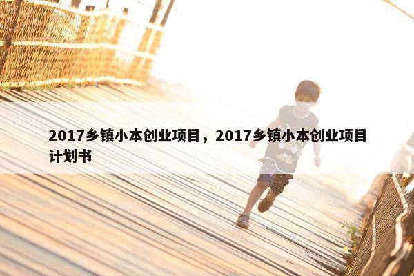 2017乡镇小本创业项目，2017乡镇小本创业项目计划书