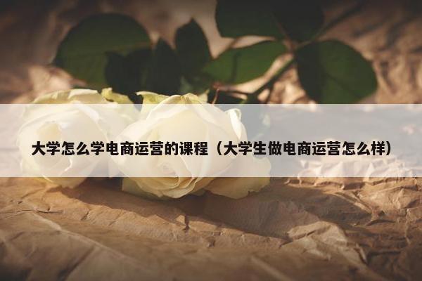 大学怎么学电商运营的课程（大学生做电商运营怎么样）