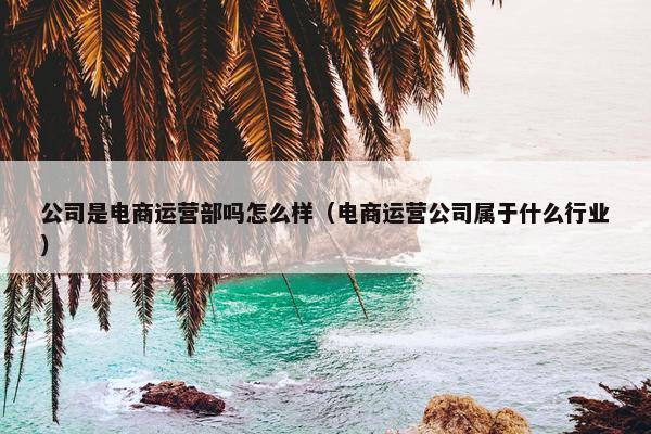 公司是电商运营部吗怎么样（电商运营公司属于什么行业）