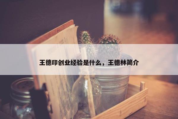 王德印创业经验是什么，王德林简介