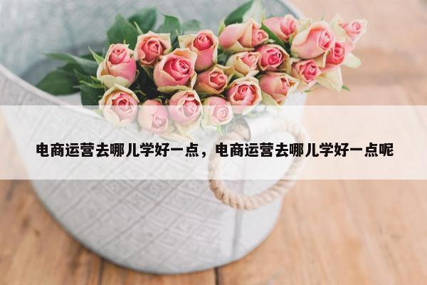 电商运营去哪儿学好一点，电商运营去哪儿学好一点呢