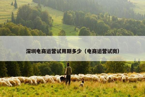 深圳电商运营试用期多少（电商运营试岗）