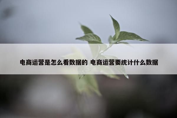 电商运营是怎么看数据的 电商运营要统计什么数据