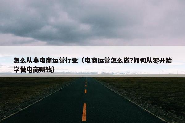 怎么从事电商运营行业（电商运营怎么做?如何从零开始学做电商赚钱）