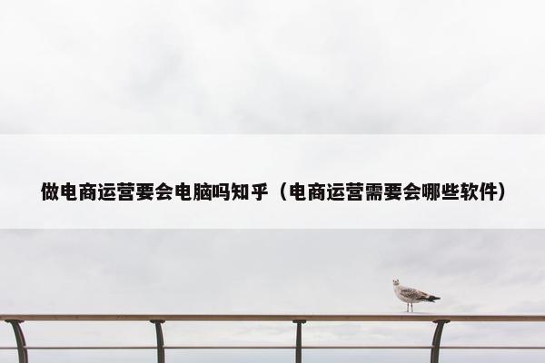 做电商运营要会电脑吗知乎（电商运营需要会哪些软件）