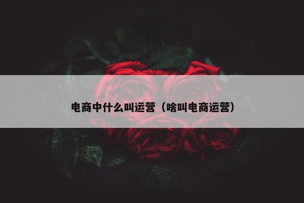 电商中什么叫运营（啥叫电商运营）