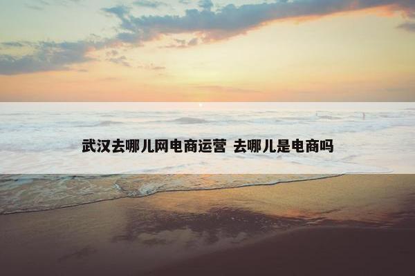 武汉去哪儿网电商运营 去哪儿是电商吗