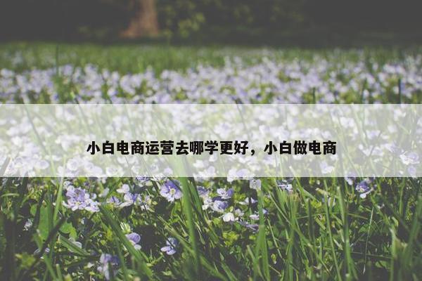 小白电商运营去哪学更好，小白做电商