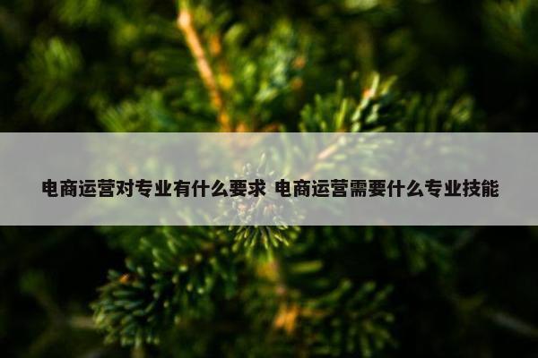 电商运营对专业有什么要求 电商运营需要什么专业技能