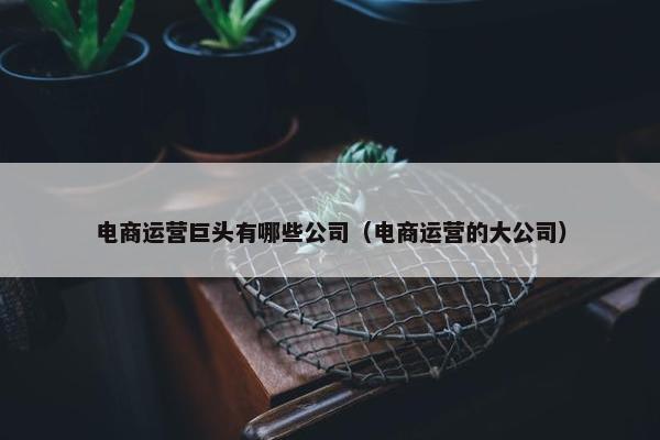 电商运营巨头有哪些公司（电商运营的大公司）