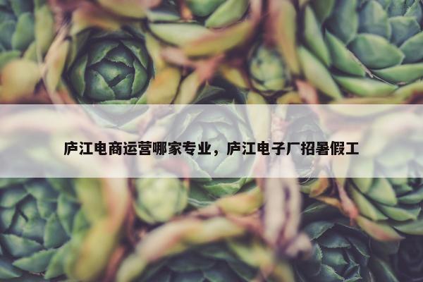 庐江电商运营哪家专业，庐江电子厂招暑假工