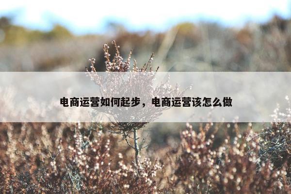 电商运营如何起步，电商运营该怎么做