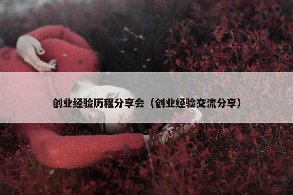 创业经验历程分享会（创业经验交流分享）