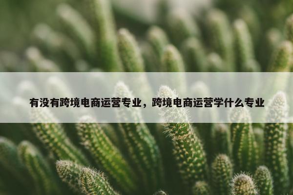 有没有跨境电商运营专业，跨境电商运营学什么专业