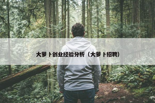 大萝卜创业经验分析（大萝卜招聘）