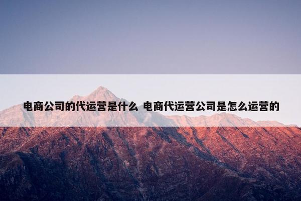 电商公司的代运营是什么 电商代运营公司是怎么运营的