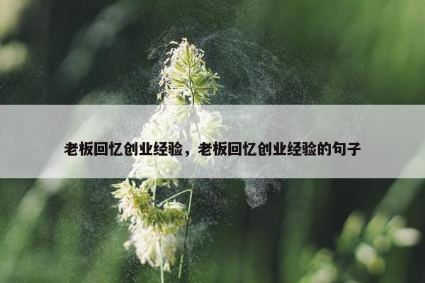 老板回忆创业经验，老板回忆创业经验的句子