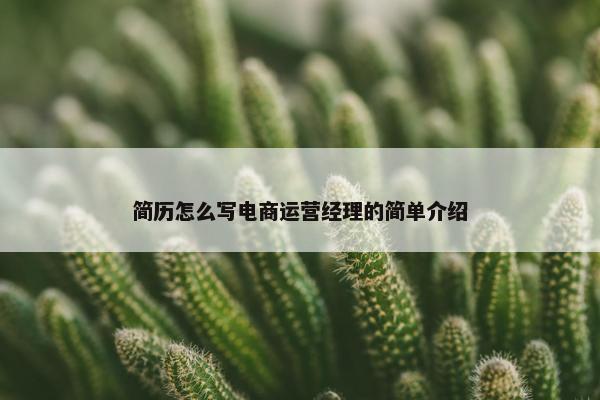 简历怎么写电商运营经理的简单介绍