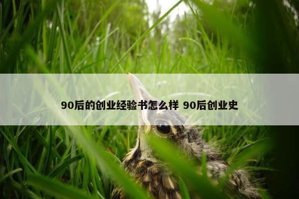 90后的创业经验书怎么样 90后创业史