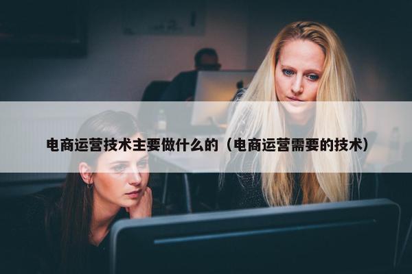 电商运营技术主要做什么的（电商运营需要的技术）