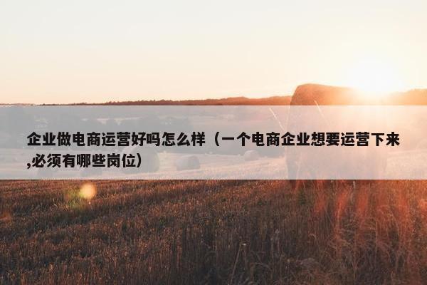 企业做电商运营好吗怎么样（一个电商企业想要运营下来,必须有哪些岗位）