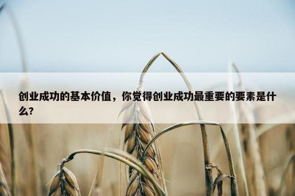 创业成功的基本价值，你觉得创业成功最重要的要素是什么?