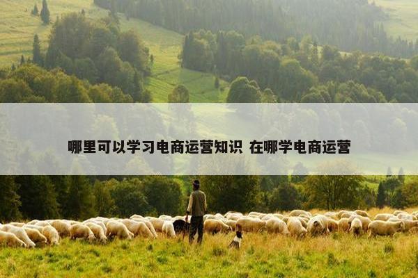 哪里可以学习电商运营知识 在哪学电商运营