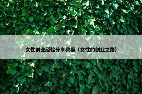 女性创业经验分享教程（女性的创业之路）