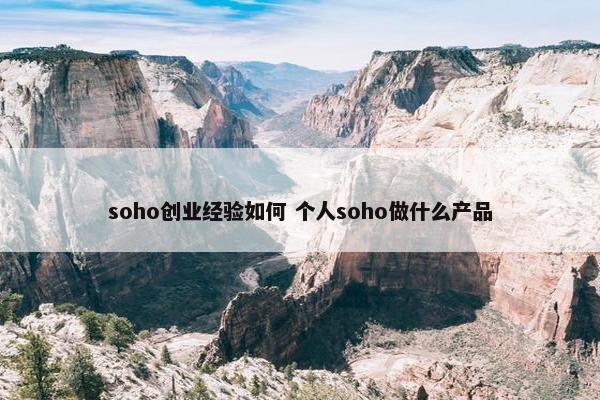 soho创业经验如何 个人soho做什么产品