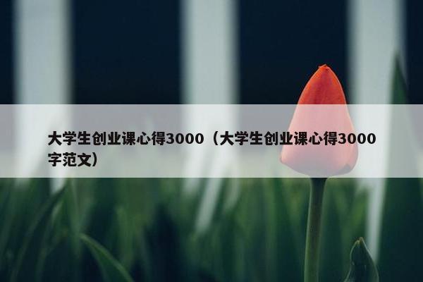 大学生创业课心得3000（大学生创业课心得3000字范文）