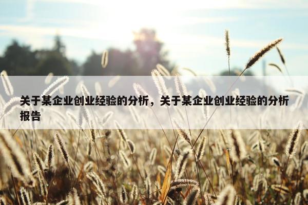 关于某企业创业经验的分析，关于某企业创业经验的分析报告