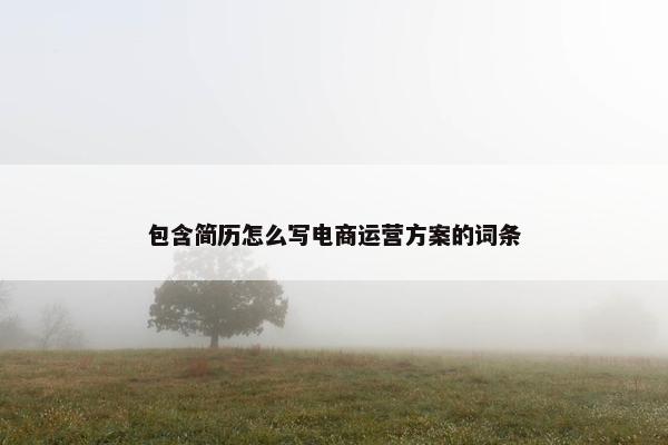 包含简历怎么写电商运营方案的词条