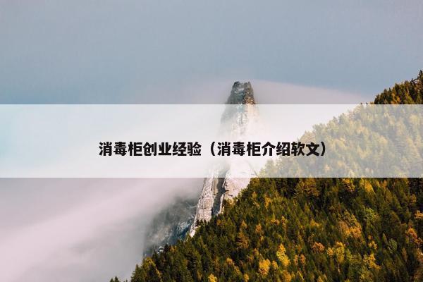 消毒柜创业经验（消毒柜介绍软文）