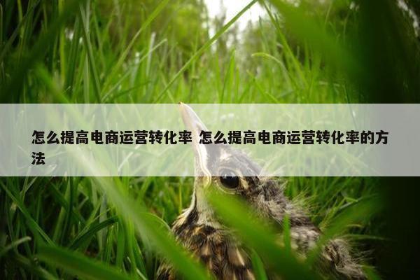 怎么提高电商运营转化率 怎么提高电商运营转化率的方法