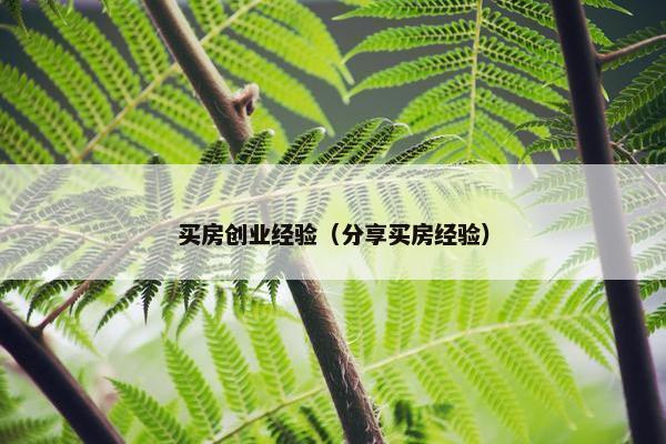 买房创业经验（分享买房经验）