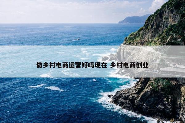 做乡村电商运营好吗现在 乡村电商创业