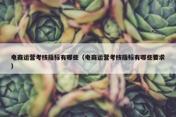 电商运营考核指标有哪些（电商运营考核指标有哪些要求）