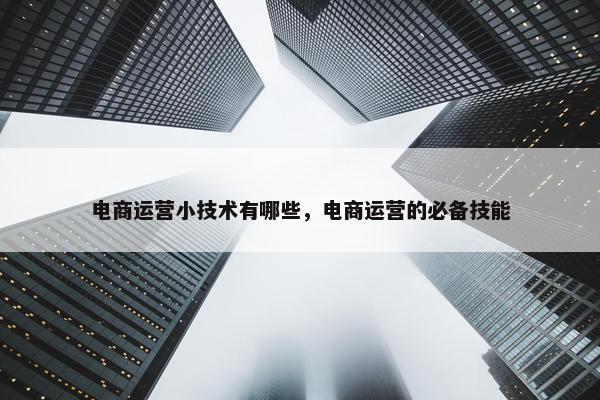 电商运营小技术有哪些，电商运营的必备技能