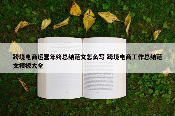 跨境电商运营年终总结范文怎么写 跨境电商工作总结范文模板大全