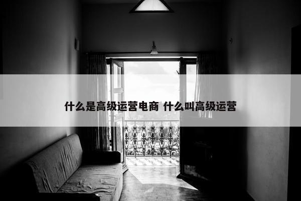 什么是高级运营电商 什么叫高级运营