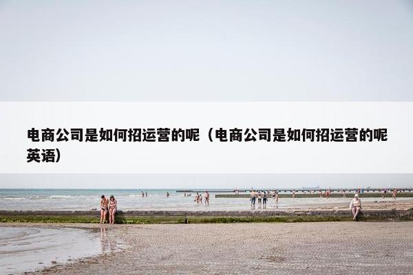 电商公司是如何招运营的呢（电商公司是如何招运营的呢英语）