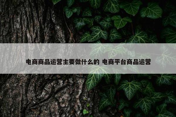 电商商品运营主要做什么的 电商平台商品运营