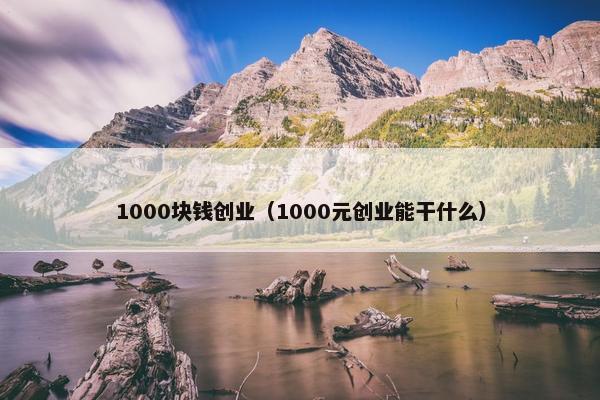 1000块钱创业（1000元创业能干什么）