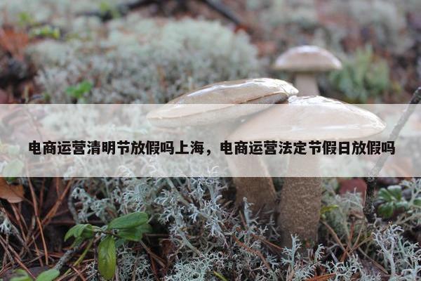 电商运营清明节放假吗上海，电商运营法定节假日放假吗