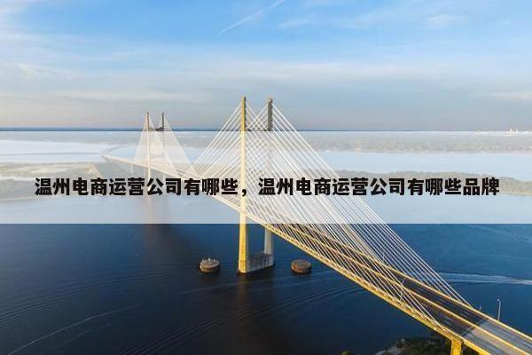 温州电商运营公司有哪些，温州电商运营公司有哪些品牌