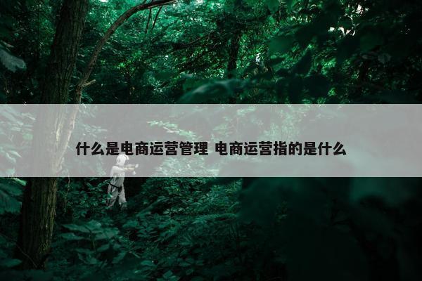 什么是电商运营管理 电商运营指的是什么