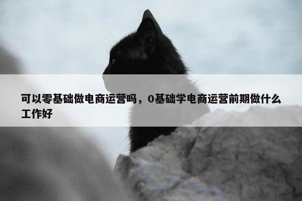 可以零基础做电商运营吗，0基础学电商运营前期做什么工作好