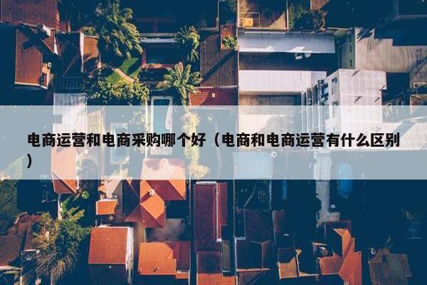 电商运营和电商采购哪个好（电商和电商运营有什么区别）