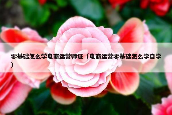 零基础怎么学电商运营师证（电商运营零基础怎么学自学）