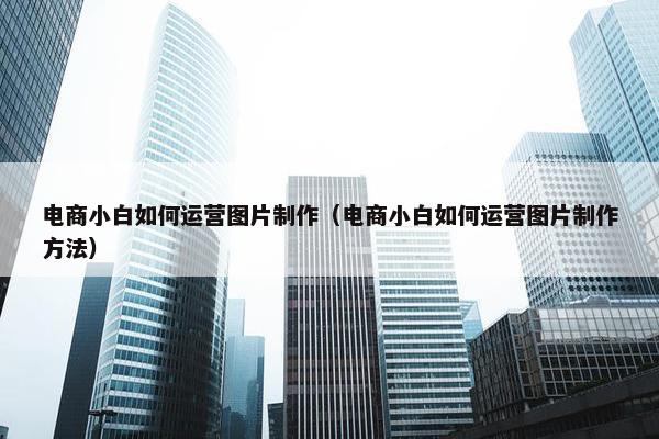 电商小白如何运营图片制作（电商小白如何运营图片制作方法）